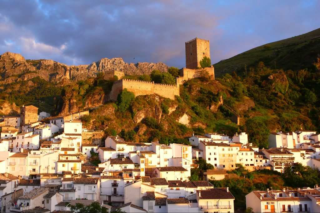 Lee más sobre el artículo Castillo de la Yedra