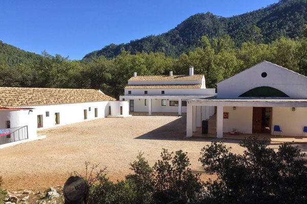 Lee más sobre el artículo Fuente del Roble