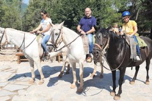 El Cortijillo Riding School